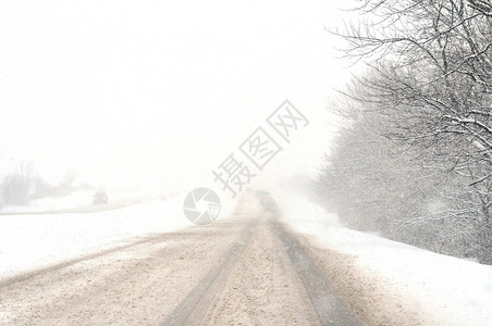 雪暴白白车树素材高清图片