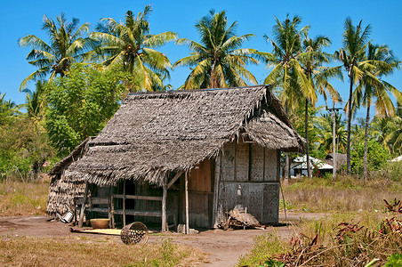 热带房子农村小屋孤独建筑乡村贫困稻草环境木头棕榈村庄房子背景
