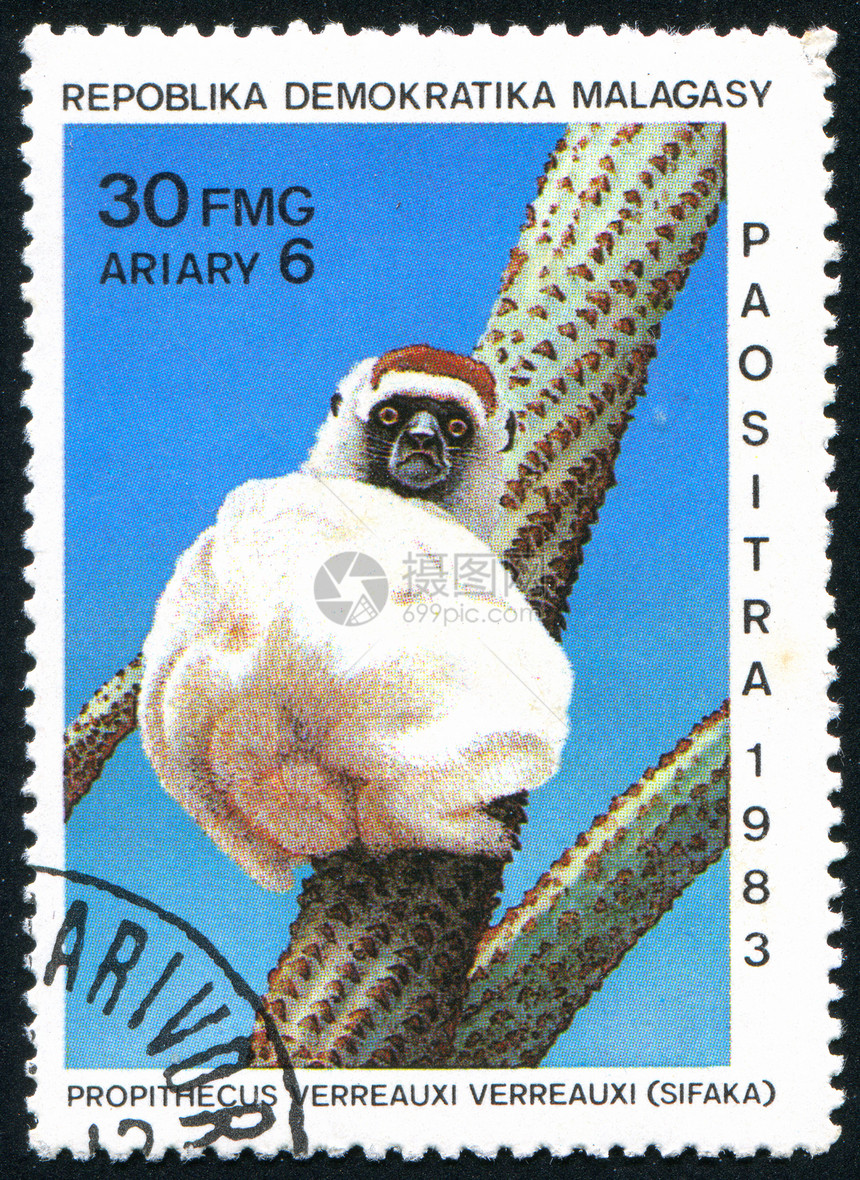 挂印环境哺乳动物毛皮动物荒野生物邮戳公园古董木头图片