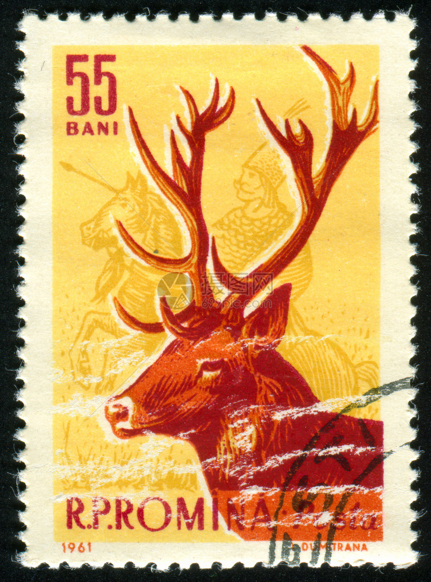 挂印历史性环境邮票荒野鹿角牛角邮件明信片动物海豹图片