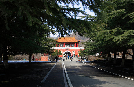 兴东寺 建筑 庙宇背景图片