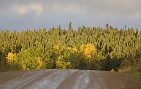 秋天马尼托巴省北部公路荒野背景图片