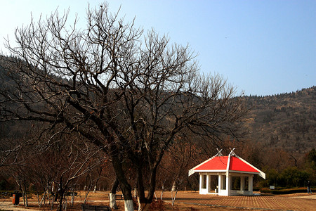 建筑 公园 旅游 休闲 风景 风景 自然旅行观光游客壁龛背景图片