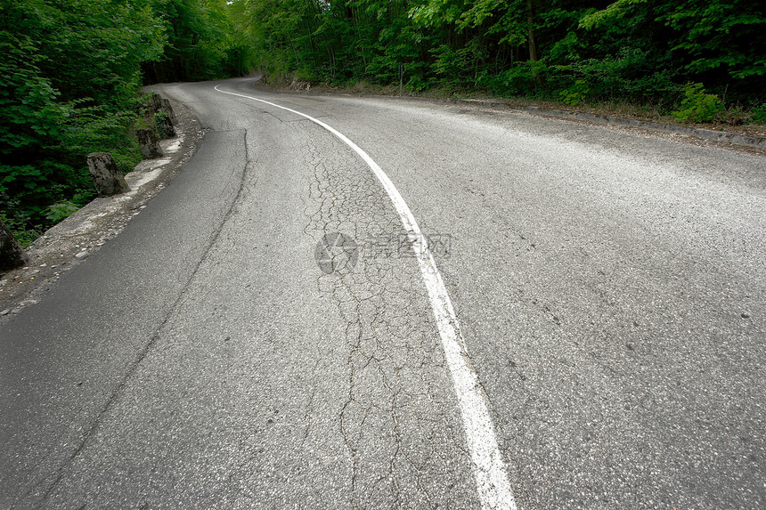 路树木车道路线小路运输农村基础设施国家森林驾驶图片