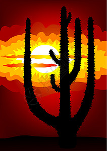 多刺仙人球墨西哥日落 - 矢量设计图片