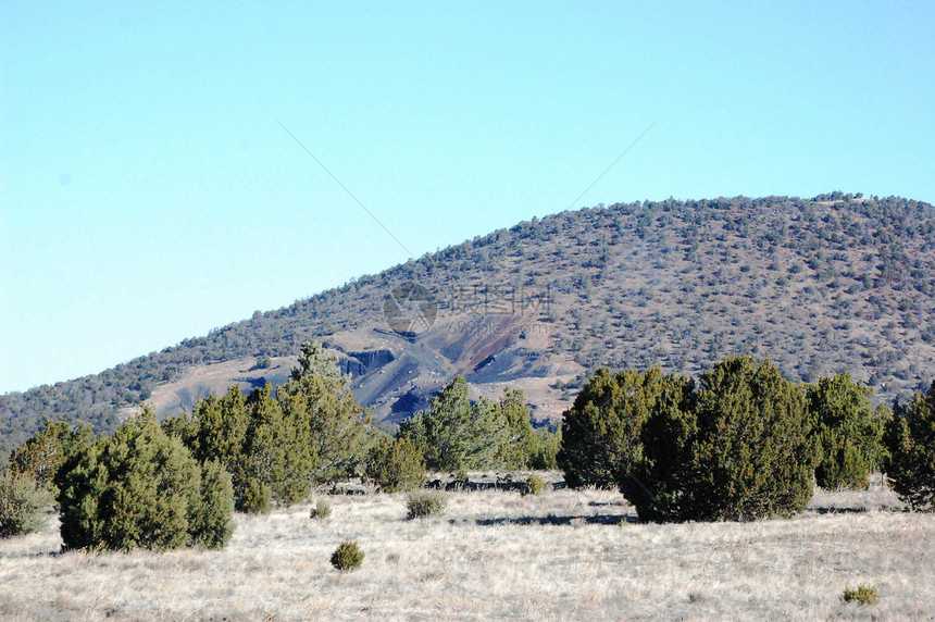 亚利桑那沙漠和山天空叶子树木山脉刷子爬坡丘陵沙漠植物图片