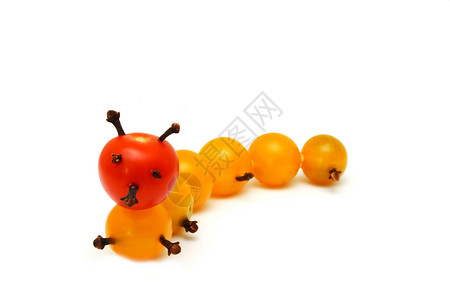 毛虫是用西红柿创造的生物生长绿色宏观黄色白色背景图片