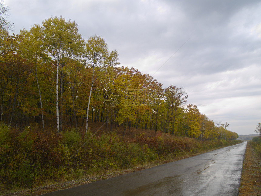 秋木和铁路爬坡绿色天空桦木黄色多云衬套红色图片