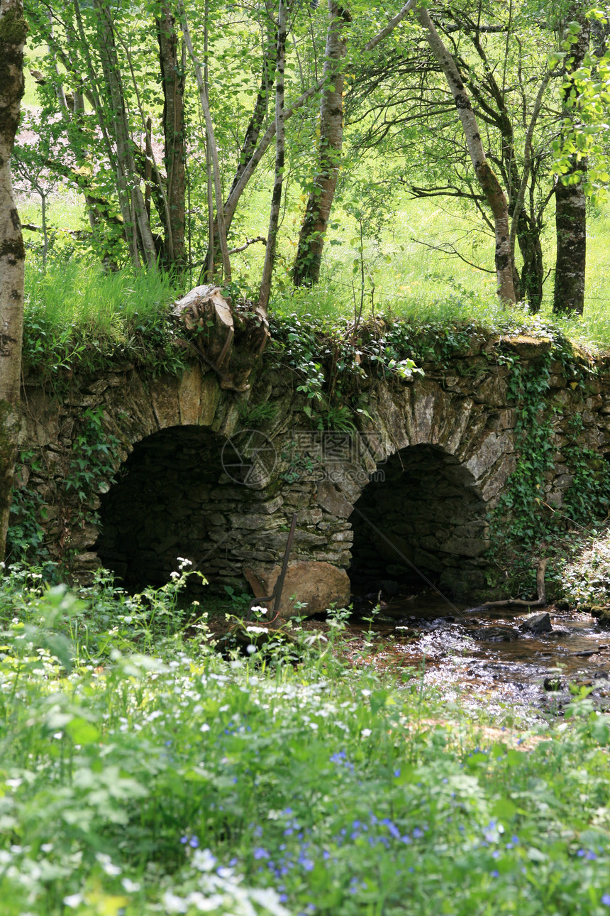 河边的小桥假期途径石头路径木头绿色魔法溪流旅游方式图片