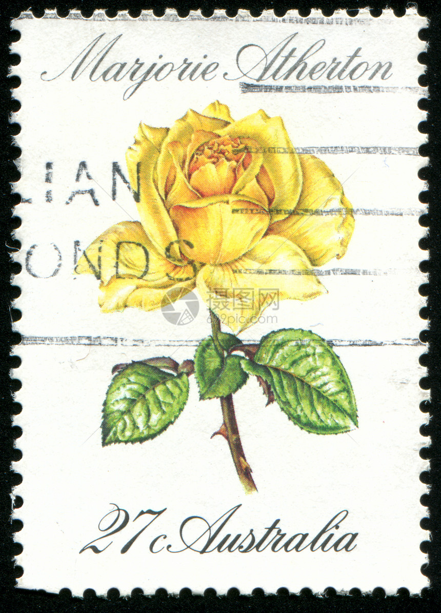 邮票花店海豹历史性植物学植物群集邮邮件植物明信片玫瑰图片