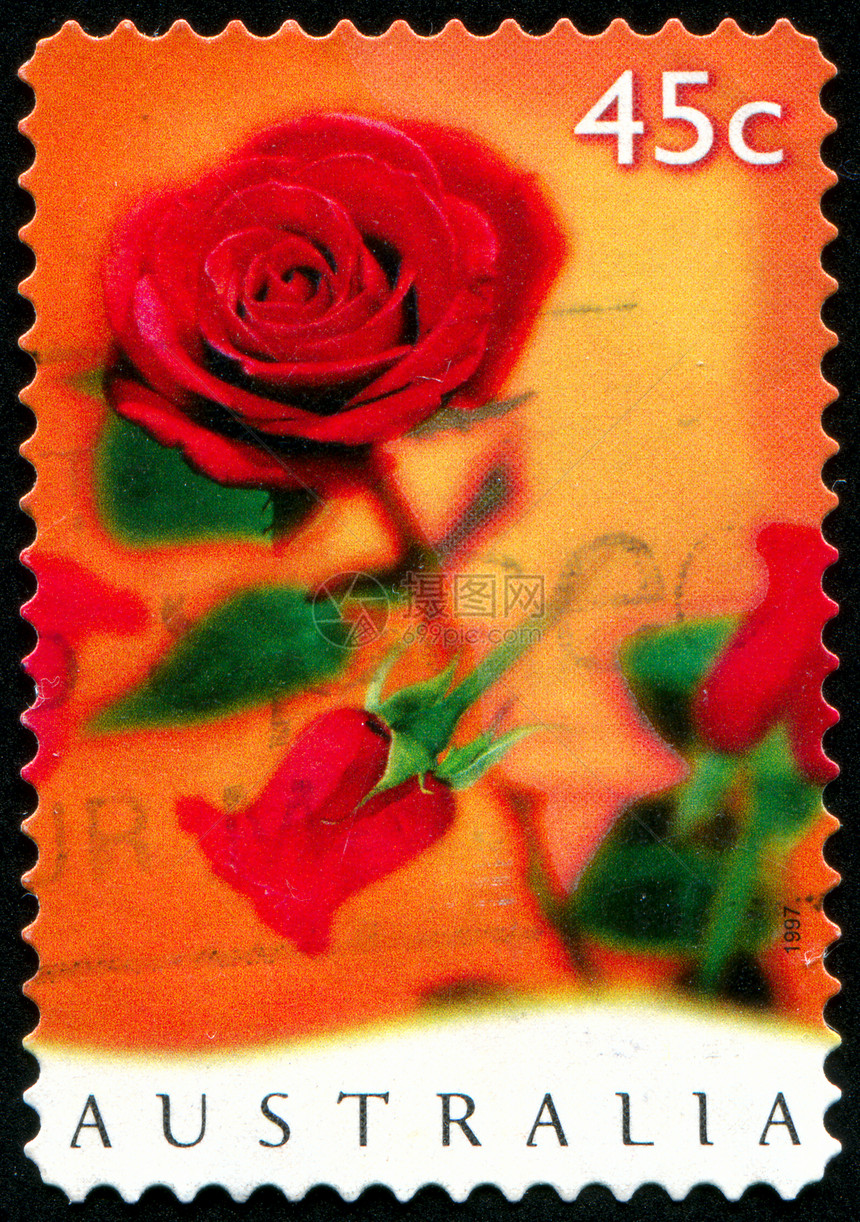 邮票信封明信片花店邮件植物群红色花瓣邮戳集邮海豹图片