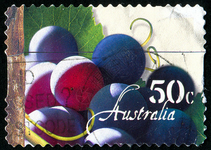 邮票食物浆果叶子收成集邮水果明信片营养农业植物背景图片