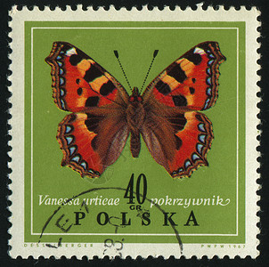 标记 M坡度圆圈昆虫天线蝴蝶航班背景图片