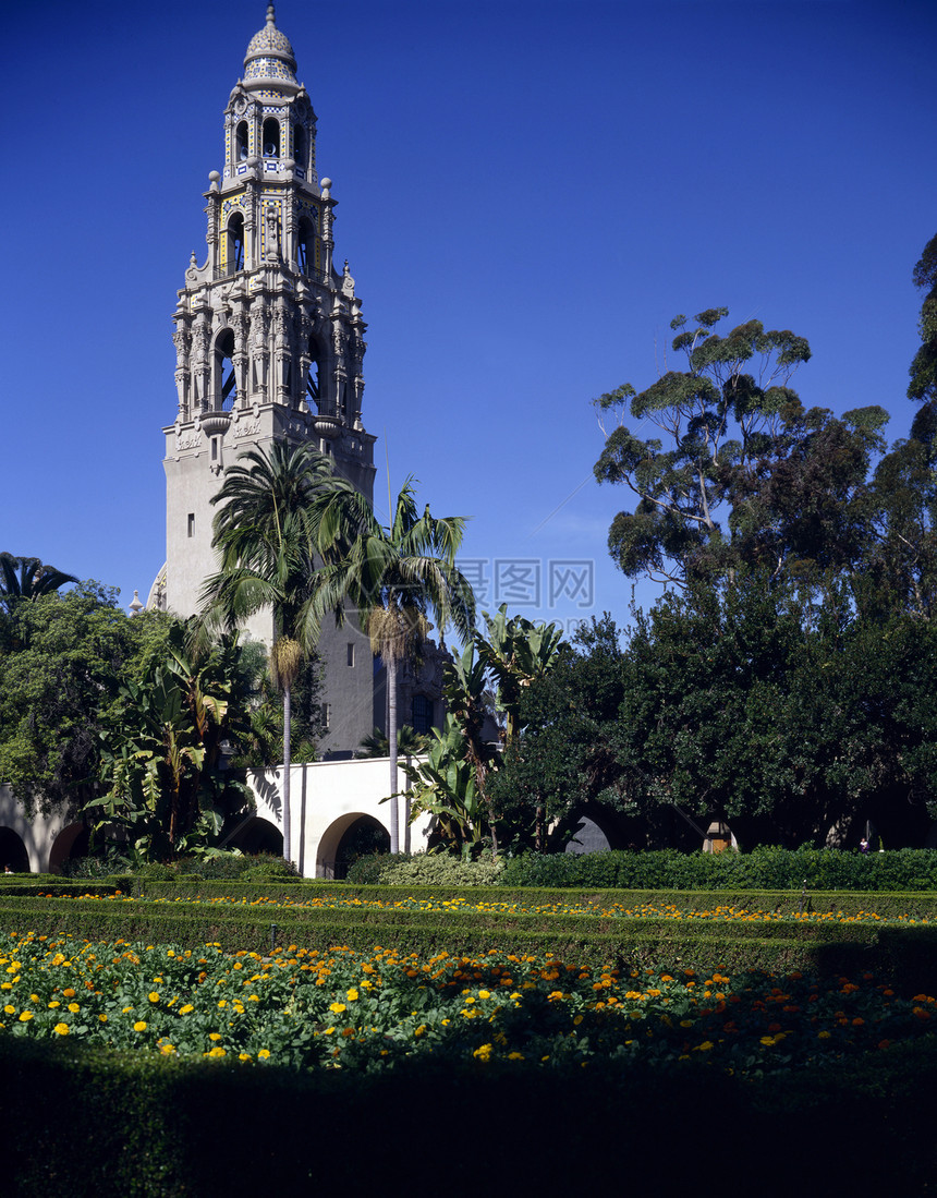 加利福尼亚塔植物群建筑学花朵花园公园图片