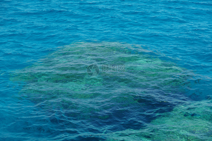 珊瑚礁热带动作太阳石质潜水蓝色旅行休息海洋红色图片