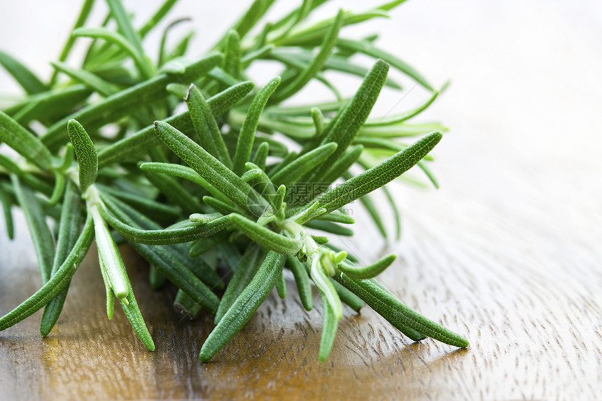 新的新玫瑰白色草本烹饪食物叶子枝条香料团体宏观植物图片