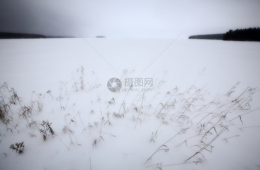 冬季萨斯喀彻温Waskesui湖的雪兰风景全景晴天高度爬坡高地旅游反射岩石场景森林图片