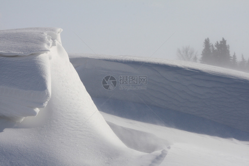 萨斯喀彻温冬季风暴雪库风景白色场景森林漂移雪花旅行季节雪堆天空图片