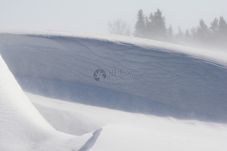 萨斯喀彻温冬季风暴雪库小路天气木头蓝色雪花旅行森林阴影场景天空图片