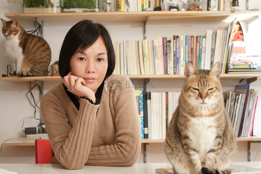 女人和她的猫咪女士毛皮成人女性化宠物家庭闲暇房子哺乳动物动物图片