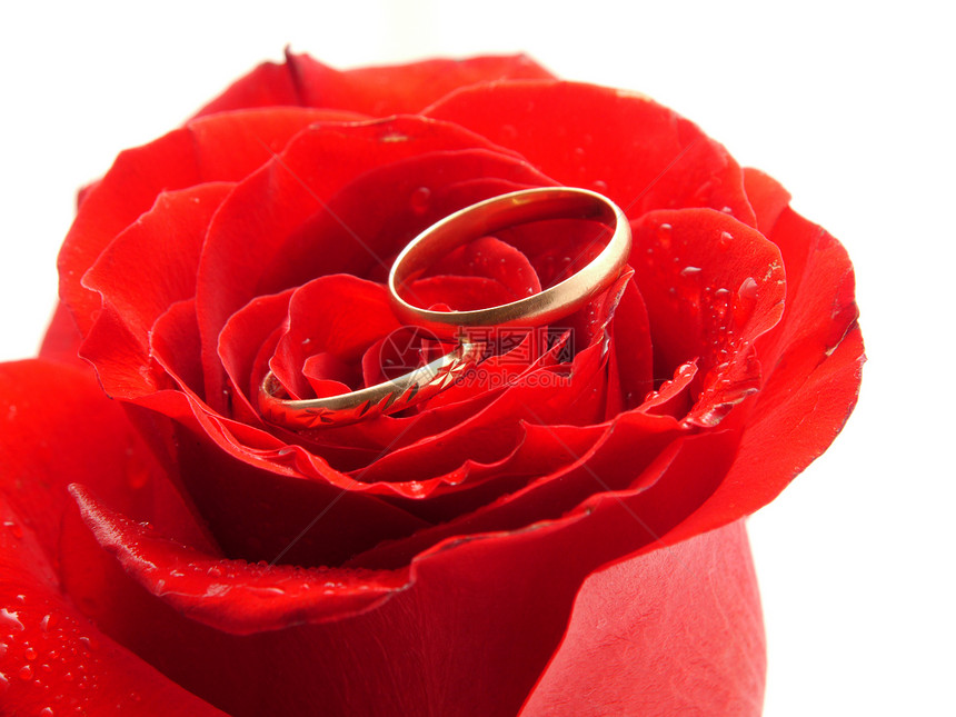花环和圆环钻石新娘女性珠宝卡片花瓣男人宝石订婚花束图片