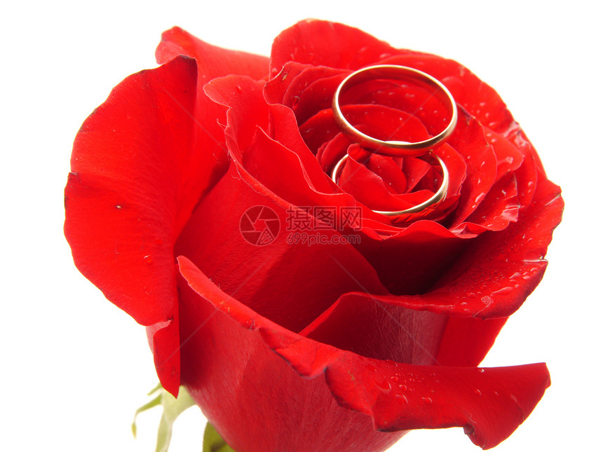 花环和圆环庆典金子宝石叶子蜜月夫妻婚礼花束戒指卡片图片