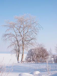 冬季风景蓝色季节森林国家天气林地气候场景冰柱冻结背景图片
