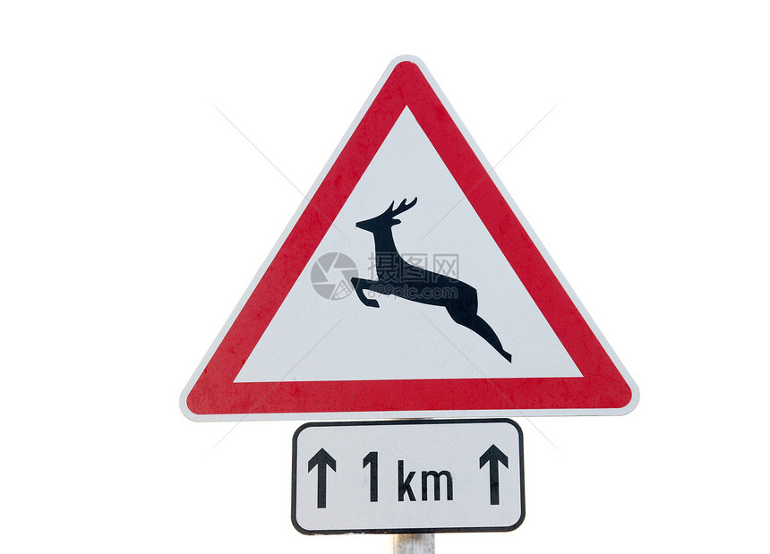 警告跑步野生动物白色危险环境路标穿越交通标志驯鹿图片
