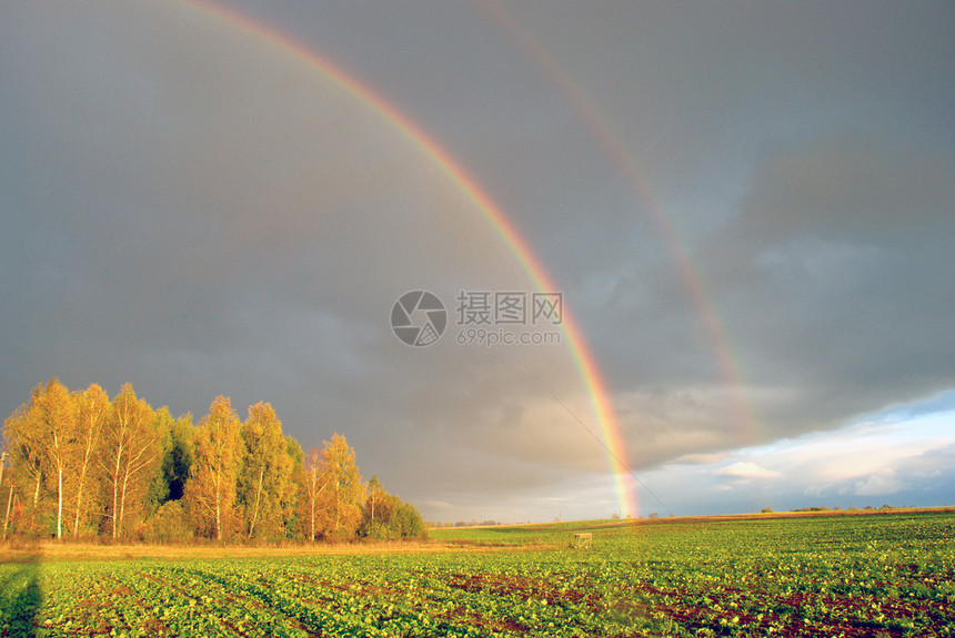 彩虹光谱桦木农业太阳草地村庄天空地平线图片