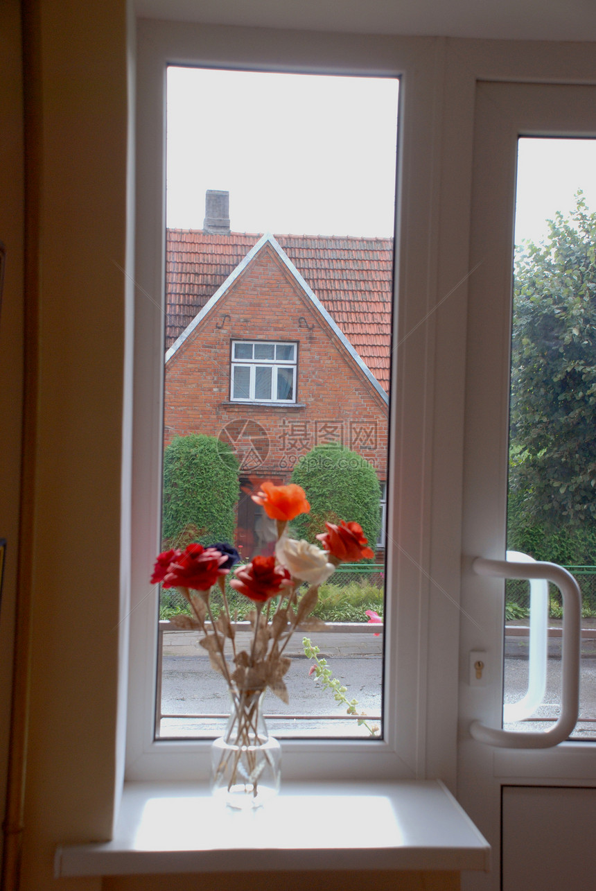 花和花建筑学建筑植物群房子窗台花束窗帘生活背光花瓣图片