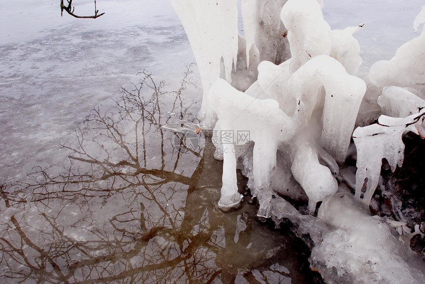 冰柱树木瀑布装饰透明度溪流分支机构树枝冰镇蓝色图片