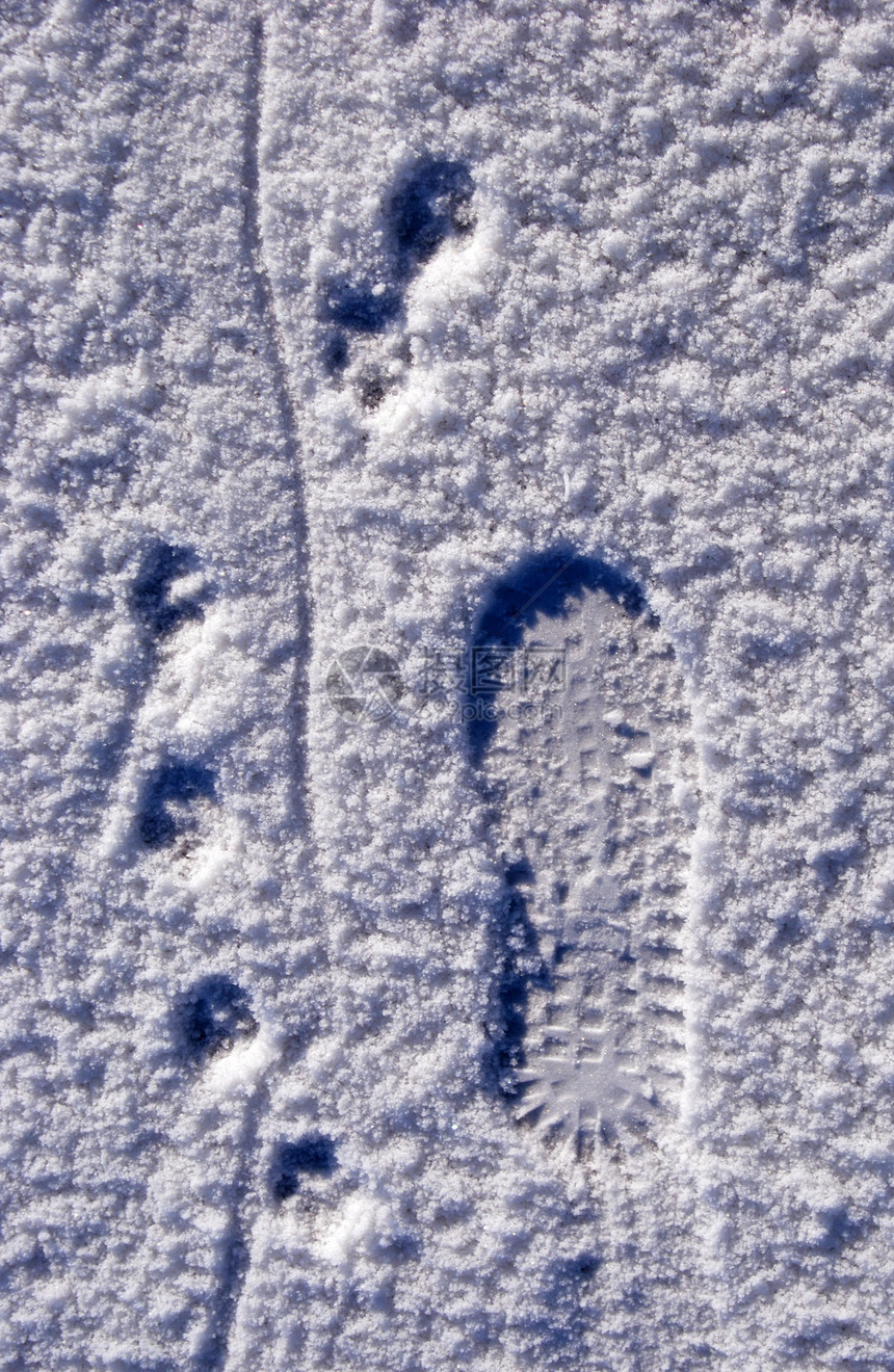 雪上踪迹步道荒野朋友阳光冻结途径远足者旅行烙印脚步图片