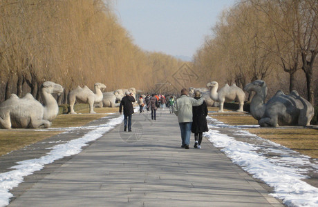 精神之道背景图片