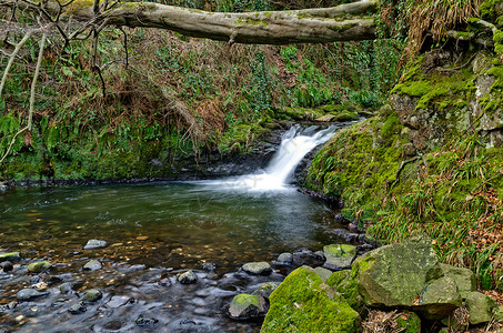 特伦诺格伦诺苔藓溪流农村岩石乡村瀑布背景图片