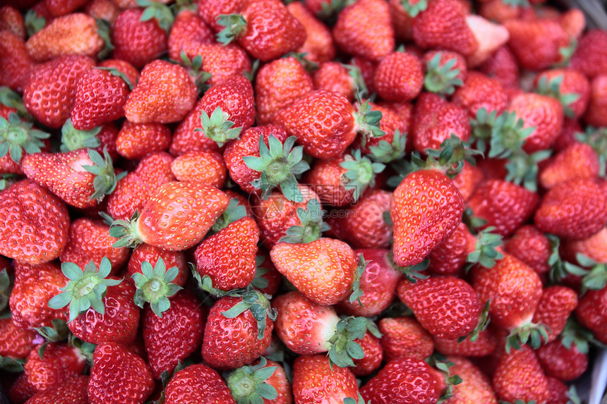饮食 食物 草莓红色水分营养植物水果含量图片