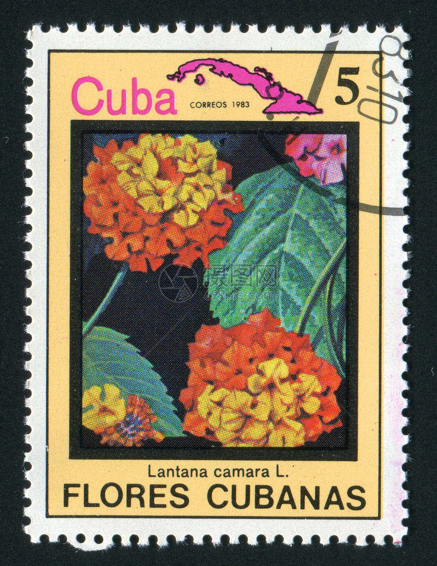 邮票植物植物学爱好花蕾邮资植物群花瓣信封邮戳邮件图片