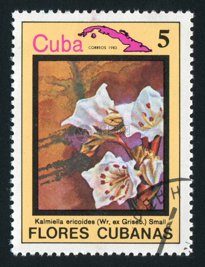 邮票邮戳植物邮局收集花蕾卡片邮资花瓣植物群热带图片
