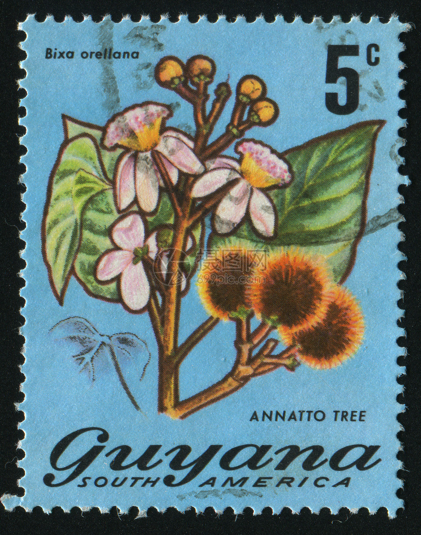 邮票花瓣植物群植物学邮局植物爱好邮政收集热带地址图片