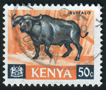 老水牛素材邮票野生动物耳朵邮政牛角羚羊草原集邮动物信封哺乳动物背景