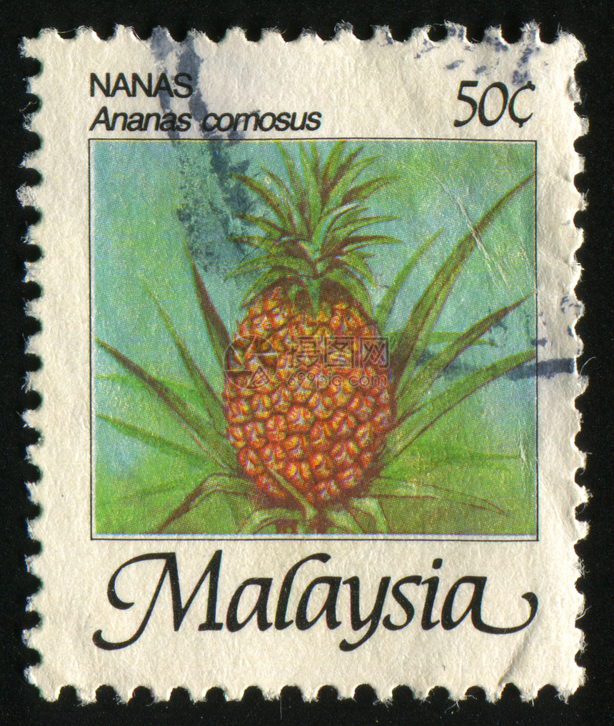 邮票地址卡片植物学水果生物学邮件邮戳邮资收集邮局图片