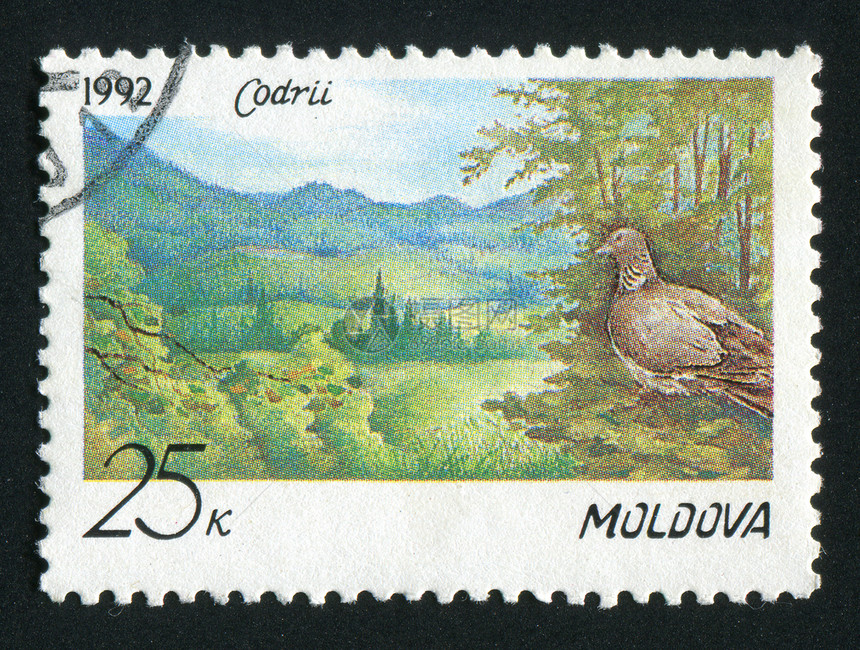 邮票信封植物花蕾卡片植物群木头爱好收集邮局邮件图片