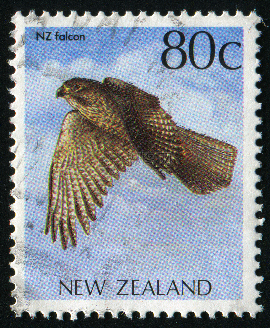 邮票动物邮局卡片信封荒野爪子邮政羽毛猎鹰地址图片