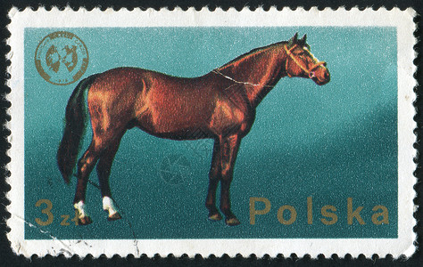 邮票邮件爱好邮资邮局集邮信封动物群卡片邮政动物背景图片