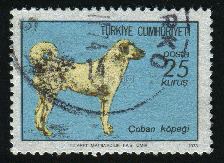 邮票宠物集邮牧羊人衣领卡片邮件邮戳邮局犬类信封图片