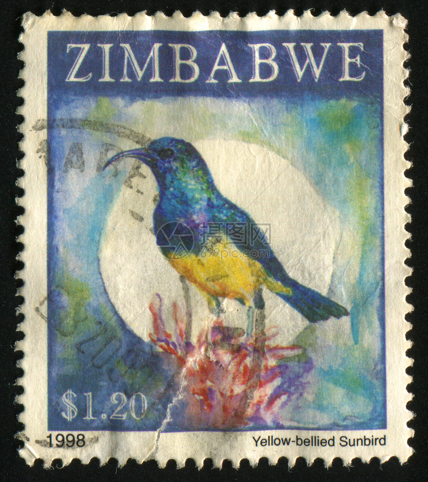 邮票公园邮政邮件鸟类邮戳邮资地址野生动物卡片动物图片