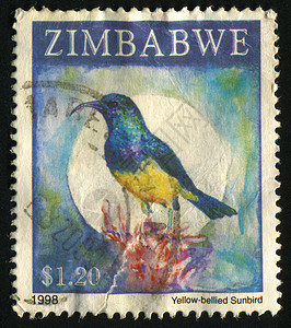 邮票公园邮政邮件鸟类邮戳邮资地址野生动物卡片动物背景图片