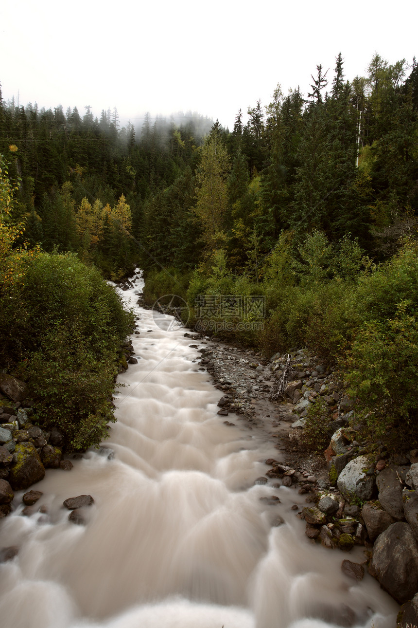 不列颠哥伦比亚省Argle Creek旅行山腰灌木丛风景山脉雨林森林海岸树木岩石图片