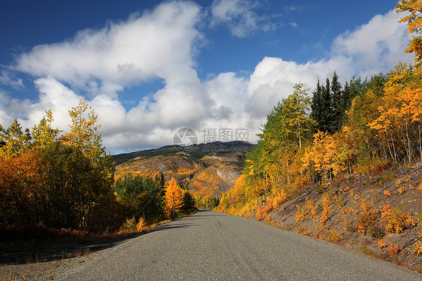 不列颠哥伦比亚省公路上的秋季颜色踪迹旅行树木树叶风景水平丘陵松树蓝天场景图片