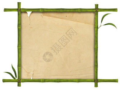翻纸边框竹竹框植物热带空白叶子木头边界绿色发芽框架背景