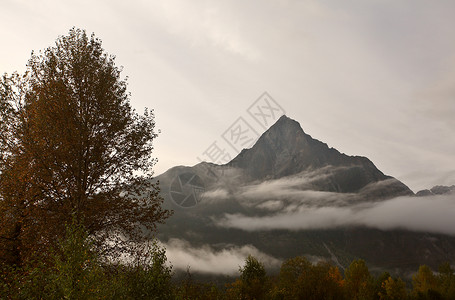 不列颠哥伦比亚省山周围低云旅行树木多云水平低峰风景场景爬坡背景